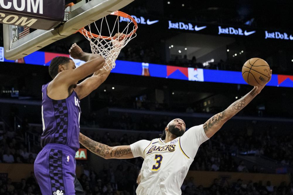 保持稳定的 保持稳定的