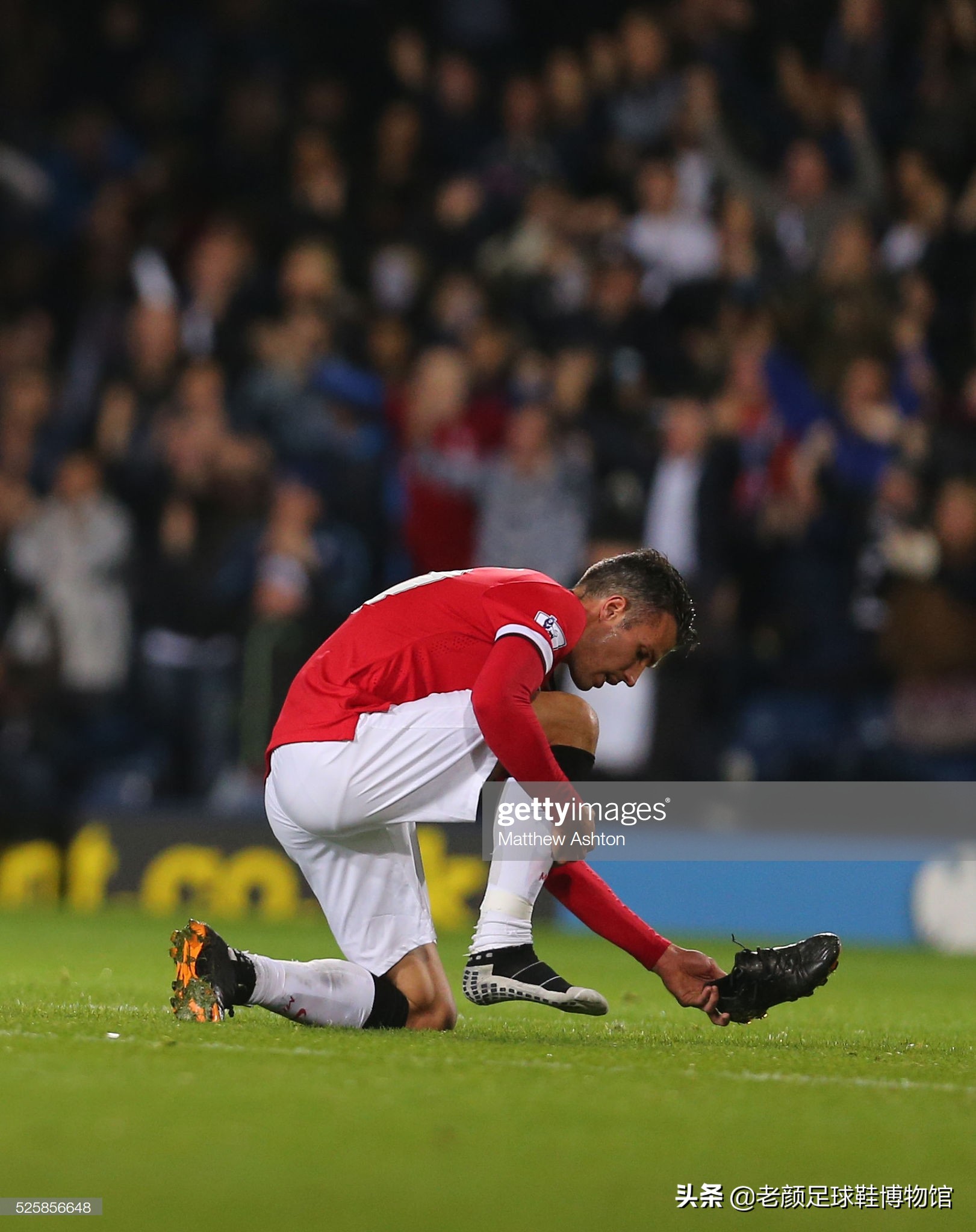 到两位新星 到两位新星