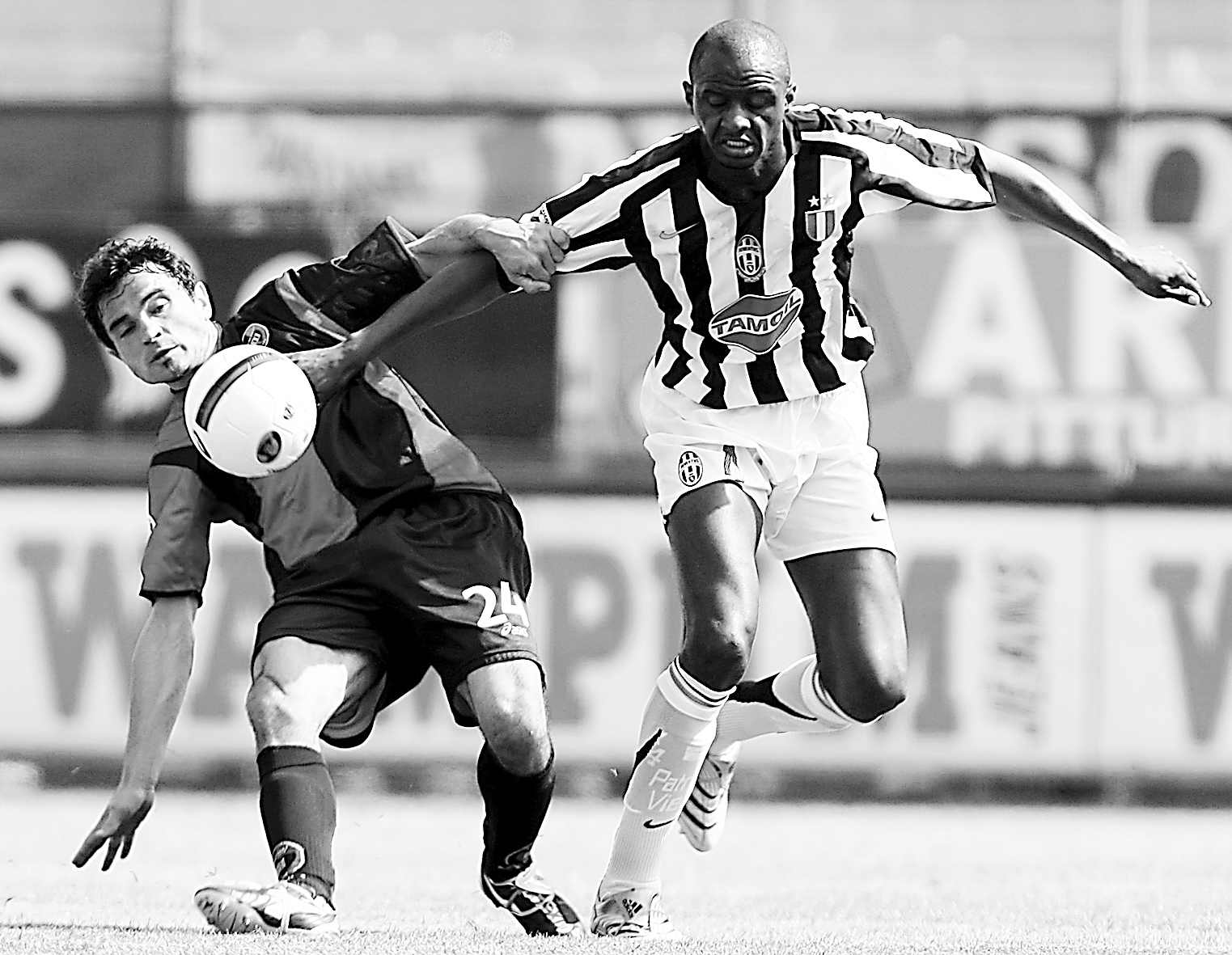 仅创造出了 仅创造出了